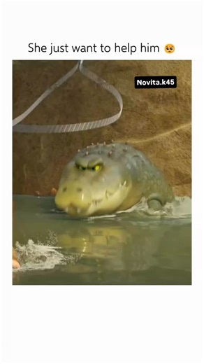 ꧁༒۝♥ⓢⒶⒽⒾⓁ♥۝༒꧂ on Instagram: "She just want to help him🥺 🐊 Interesting Fact: Back to the Outback (2021) — This animated adventure centers on a group of zoo animals considered “monsters” who embark on a mission to escape to the wild, their emotional leader being the venomous snake Maddie. A key theme is the tension between the animals’ intimidating appearances and their true, gentle natures. The climax of their journey involves high-stakes situations that force them to use their natural abilitie