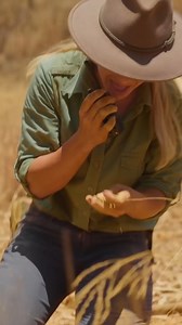 2.9M views · 45K reactions | Absolutely HUGE nugget find 勞 #AussieGoldHunters | Quest | Facebook