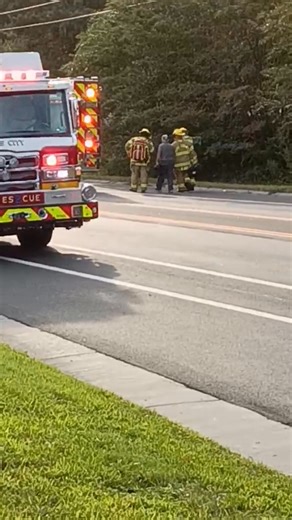 Video taken by Scott Richardson shows the pilot walking away from the wreckage of a small plane that crashed in Williamsburg on Monday. There were no other passengers on the plane, and no one on the ground was injured. Virginia State Police say it is currently unclear what caused the crash. Read more 👇 | WTKR News 3