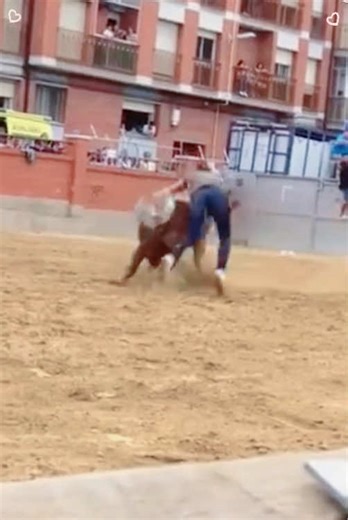 Bullfighting Clips: Intense Maneuvers & Attacks! #funny #crazy #bullfighting #extremesport #fight