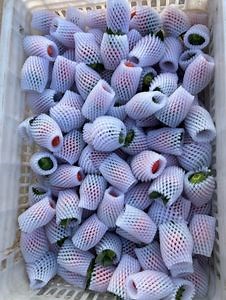 [Hot Item] Fly-75 EPE Foam Fruit Net Extrusion Machine for Efficient Packaging