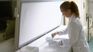 Phospho Flow Cytometry with Fluorescent Cell Barcoding for Single Cell Signaling Analysis and Biomarker Discovery