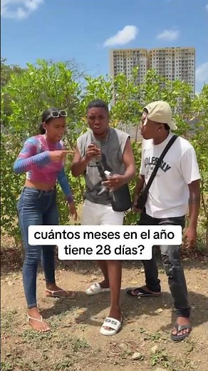 Cuantos meses en el año tienen 28 dias ?