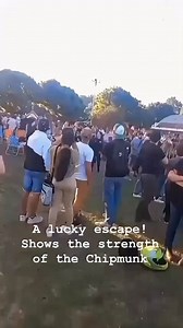 Lucky escape here! Shows the strength of the Chipmunk. Fly past gone wrong in Argentina. Sadly this was the oldest production Chipmunk in existence. I hear it will fly again soon. #flying #aviation #pilot #sky #pilotlife #tailwheel #crash #oops | David Petters