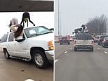 Girls filmed twerking on top of SUV driving down highway