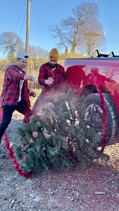 When Wife LET's you DECORATE the TREE! 😂 Notice of Transparency: All of the events that take place in this short-film video are purely fictitious. Any similarities to actual people or actual events are coincidences. This video’s only purpose is entertainment. | Donald Jenkins