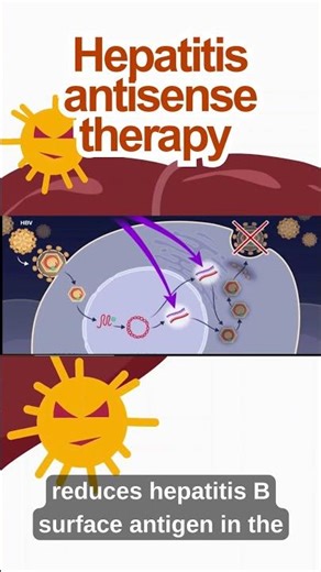 Hepatitis antisense therapy