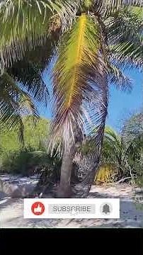 20 of Mexico's Most Beautiful Natural Wonders #travel #mexico #visitmexico