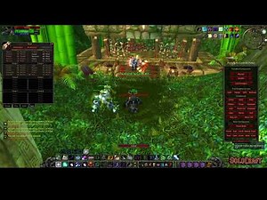 SoloCraft.org - High Priest Thekal Solo Kill