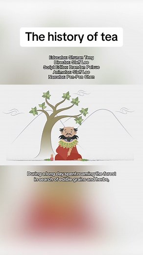 Did you know that tea is the second most consumed beverage in the world? Curious about how it got so popular? In this TED-Ed lesson we're covering the full history of tea. #teded #tedtalk #tea #teatalk #matchatea