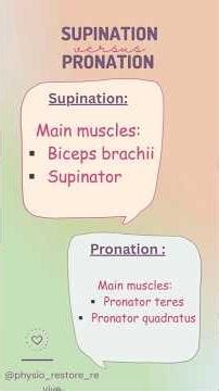 Supination and Pronation Made Easy | BPT Anatomy Quick Revision#fyp #anatomy #trending