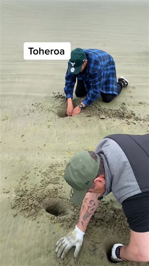 #newzealand #toheroa #kaimoana #southland | Sonia Varner