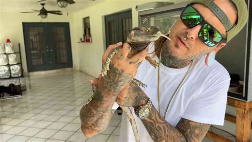 Indigo snake mystery - something doesn’t look normal up close