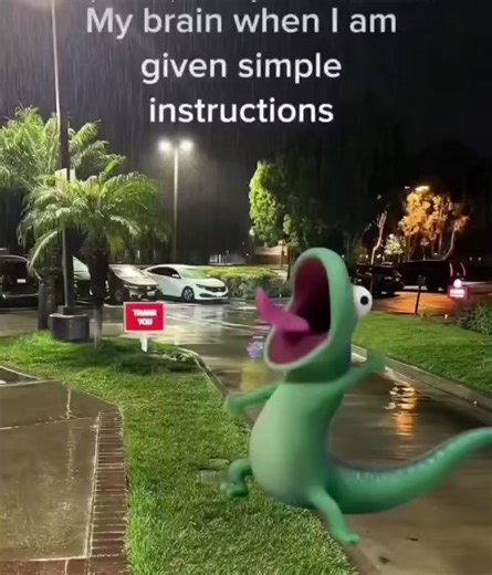 "Meet Tom the Lizard, the meme sensation that's taking over the animal...