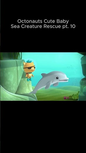 Octonauts Cute Baby Sea Creature Rescue pt 10 #cute #cuteanimals #octonauts #kidshow