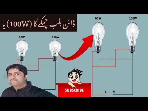 Witch Bulb Will Glow Brighter (100W) or (60W)?