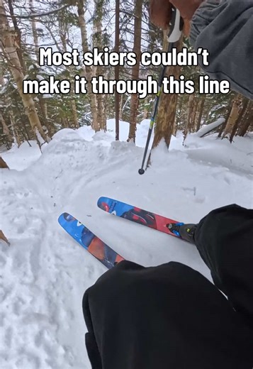 East Coast Glades on a Cold, Icy Day