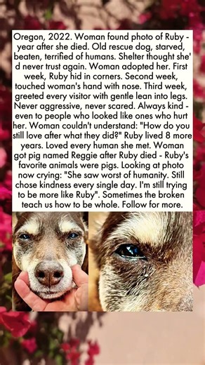 Oregon, 2022. Woman found photo of Ruby - year after she died.