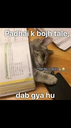 ese Notes?🔥 Class 11 Physics 📈 #boardexam #cbse #oyepadhle #study #focus #notes #topper #viral