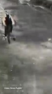 🚴 Captan el aparatoso accidente de un ciclista a causa de un bache en #Puebla capital. Un video dado a conocer por NMás Puebla revela cómo el hombre se fue de frente al piso al impactar con el hoyo ubicado en avenida 33 Oriente, entre 32 Sur y Diagonal 32 Sur. . . #Reel #Video #Baches #México #fyi #fyp #Noticias #Viral #ParaTi | Oro Noticias