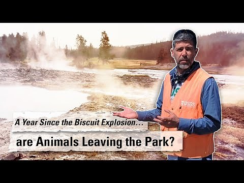 A Year Since the Biscuit Basin Hydrothermal Explosion (Yellowstone Monthly Update - August 2025)