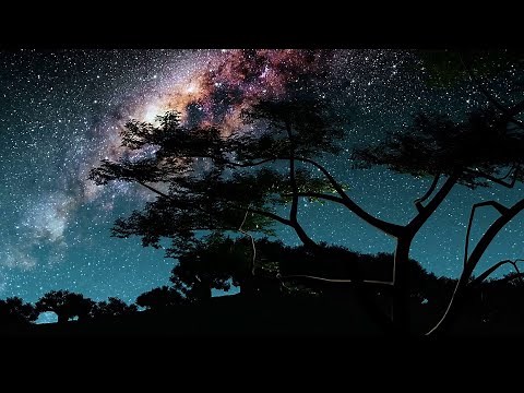 DannyLux - Viaje De Amor (Official Visualizer)