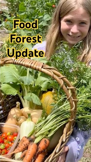 Food Forest #garden #gardening #foodforest #vegetables #fruit #permaculture #harvest #flowers