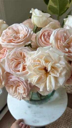 Struggling to find the perfect gift? 🎁 Our Guys Gift Guide makes it simple: hand-selected roses designed to wow her the moment they arrive. 🌹✨ ✅ No more last-minute stress ✅ A gift she’ll never forget ✅ Guaranteed to impress Shop now and make this the easiest — and most unforgettable — gift you’ve ever given | Grace Rose Farm