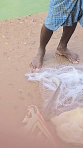 316K views · 1.8K reactions | Unique way Monster River Fish Catching in Fresh Water River | Village Life 1 | Facebook