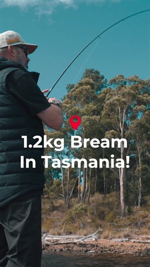 Bream Fishing: Catching the Biggest Sea Bream