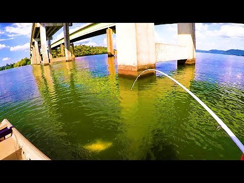 Catching Catfish Under Bridges - Bottom Bumping