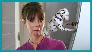 256K views · 3.7K reactions | Canine escape artist can open doors and wander the neighbourhood! WATCH THE FULL EPISODES now on Discovery+ (UK) https://bit.ly/3kYUaiO ▶ Get more dog training tips from Victoria Stilwell on her official site: https://positively.com ▶To enroll in Victoria’s dog training courses at the Victoria Stilwell Academy: https://www.vsdogtrainingacademy.com | Me Or The Dog | Facebook