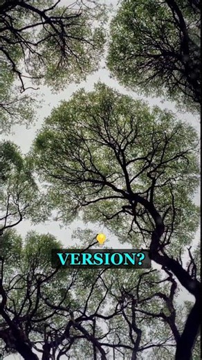 Loop vs Recursion One Makes a Billion Calls