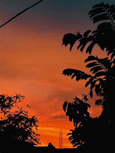 "එකම ඔෆිස් එකේ, එකම institute එකේ, එකම class එකේ ඉඳන් No Contact කරන්න...