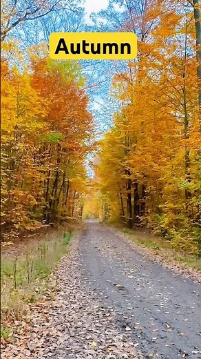 Welcome to the cozy world of autumn! 🍂