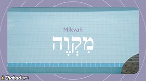 21 reactions · 59 shares | It's one of the most important mitzvot in Judaism, so important that a community can share its only Torah scroll to do it ... but many have never even heard of it! Learn the about the power of mikvah, the bedrock of Jewish family life. | Chabad.org | Facebook