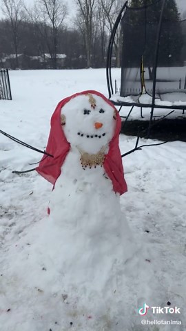 Desi baddie #fyp #desi #bride #snow #baddie | desi girls