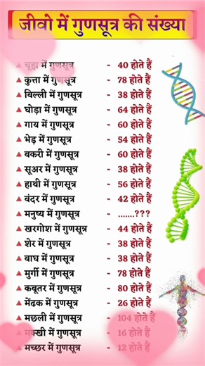 Can you solve these chromosome questions? Class 12 Biology #challenge #genetics