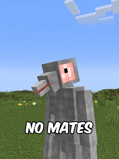 No mates demasiadas gallinas en Minecraft