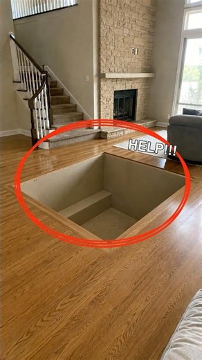 HELP… what should I put in this giant floor pit?
