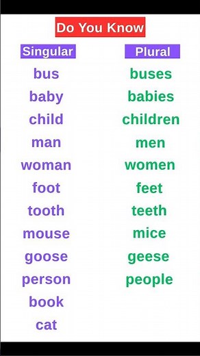 Singular and Plural Nouns | Learn English Grammar for Beginners