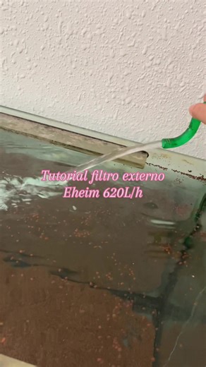 Cómo hacer funcionar tu filtro Eheim de acuario