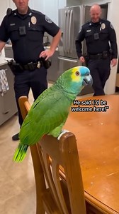 1M views · 28K reactions | Parrot Says He and Trump Are the Same | Denzel Colt | Facebook