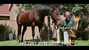 Watch as CSU vets read to all kinds of pets. It's Dr. Seuss' new book. Go ahead. Take a look. | Colorado State University Veterinary Teaching Hospital