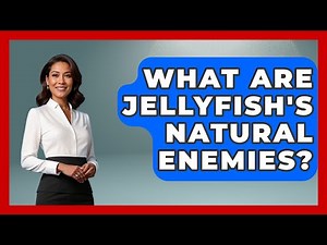 What Are Jellyfish's Natural Enemies? - The Marine Life Explorer