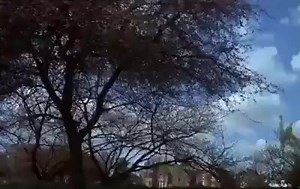 12K views · 318 reactions | Steptoe and Son Ride Again - The Blind Greyhound  | Seventies Time-Machine | Facebook