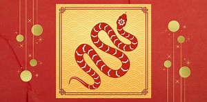 Year Of The Snake Chinese Zodiac Personality Traits, Years And Compatibility
