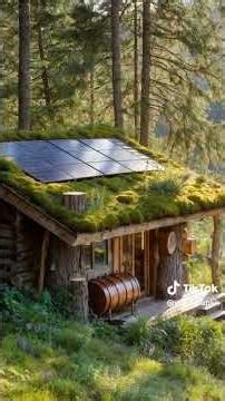Cozy Off-Grid Cabin in the Forest: Sustainable Living with Magical Gardens & River Views 🌲✨