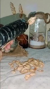 Turning Kitchen Waste into Aesthetic Home Décor 🌾