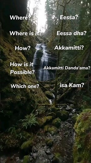 Learn English By Afaan Oromo